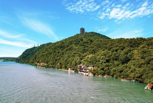 交旅融合篇 安徽 和美乡村 赏花踏青 舒心游