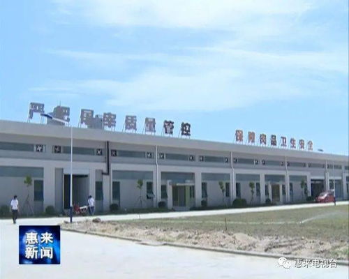 县食品仓储中心和机械化肉联厂建成并试运营