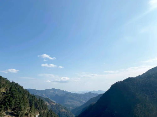 绿水青山里的特色水产养殖