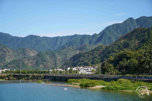2020年山核桃仁新果,当季新鲜,100斤只出5斤,个大饱满,香脆 临安