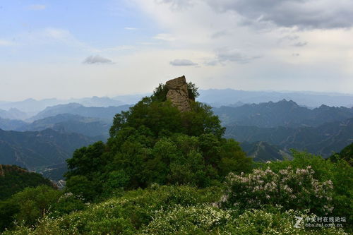 河北涞水野三坡 百草畔山景