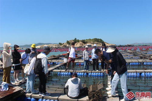 在工厂车间 田间地头做好调查研究