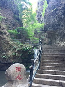 夏游野三坡