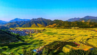 浙江数字乡村建设又迈进一步 这些地方率先试点示范数字乡村和数字农业工厂