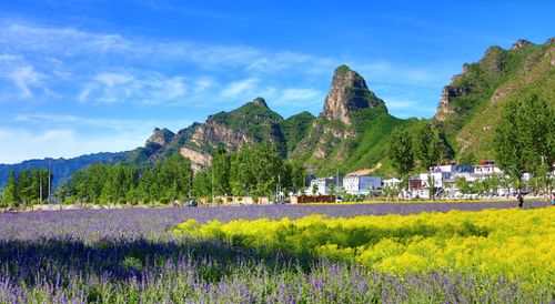久等了 荣盛康旅野三坡送您免费旅居置业游