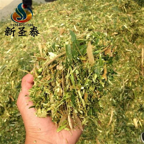 云南低喷柔丝机