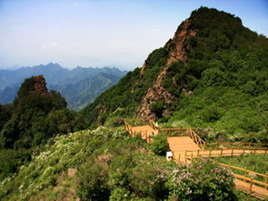 野三坡2日1晚跟团游 百里峡 盘壁玻璃栈道 十渡龙湖湾 品特色虹鳟鱼 彩虹谷 游览七彩小镇 拒马乐园点评