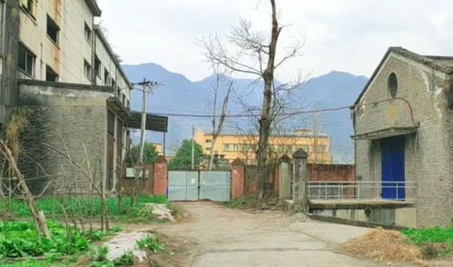 无标题