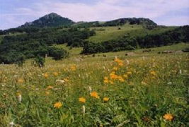 野三坡百里峡 白草畔 东湖港2日 天津出发 途牛