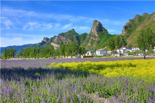 春风十里不如你,三月女神节荣盛康旅野三坡度假区恭迎女神驾到