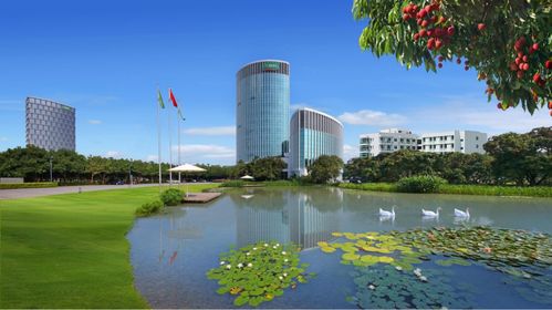 全国政协委员 三棵树董事长洪杰呼吁 购买指定范围绿色建材 享受10 财政直补