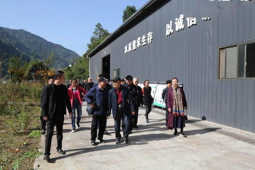 喜迎重阳,安康中院的老前辈在这儿过节......
