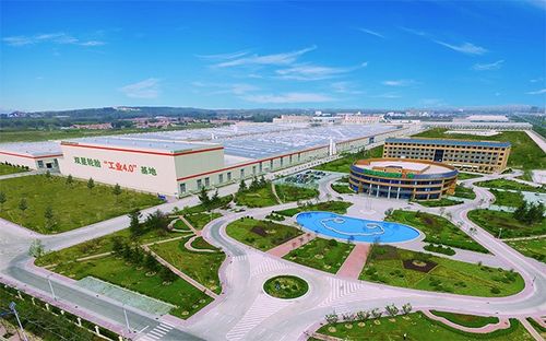 百年双星 从民族骄傲到世界之巅的征途